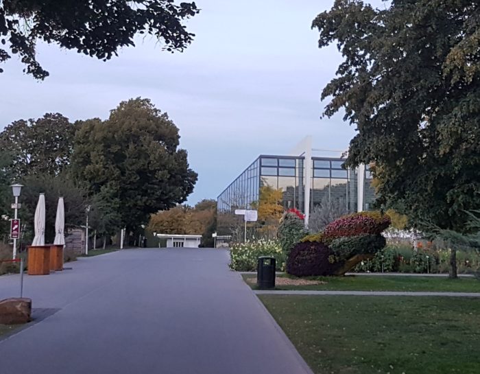 Leseprobe: In der WG: 04 – Im Park