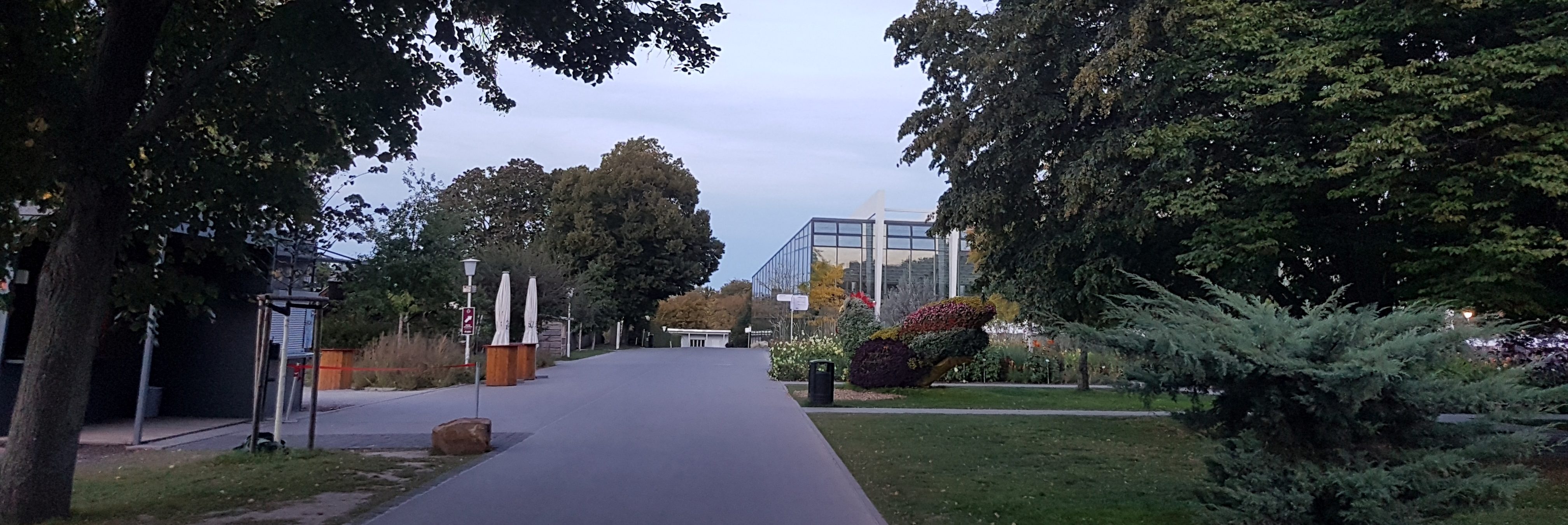 Leseprobe: In der WG: 04 – Im Park