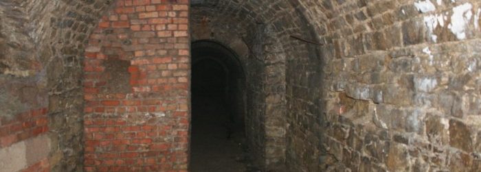 Leseprobe: In der WG: 06 – Die Leiche im Keller (Teil II)