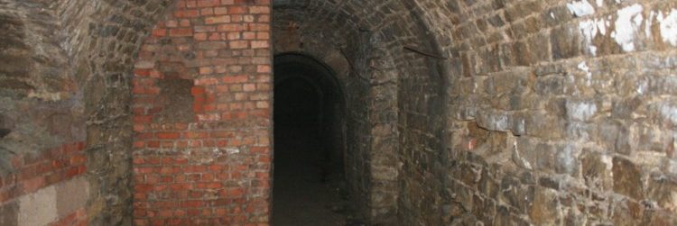Leseprobe: In der WG: 06 – Die Leiche im Keller (Teil II)